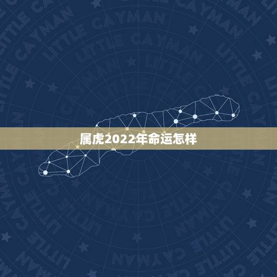 属虎2022年命运怎样,2022年运势更好的生肖 属虎2022年命运怎样,2022年运势更好的生肖