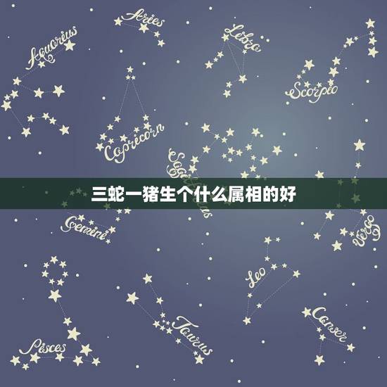 三蛇一猪生个什么属相的好，属蛇的和什么属相相冲