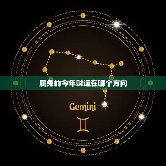 属兔的今年财运在哪个方向，2021年属兔人发财方向