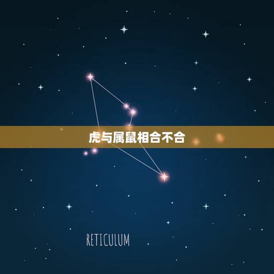 虎与属鼠相合不合,鼠和虎的属相合不合 虎与属鼠相合不合,鼠和虎的属相合不合