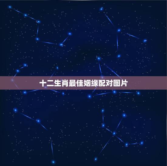 十二生肖最佳姻缘配对图片,十二生肖姻缘配对 十二生肖最佳姻缘配对图片,十二生肖姻缘配对