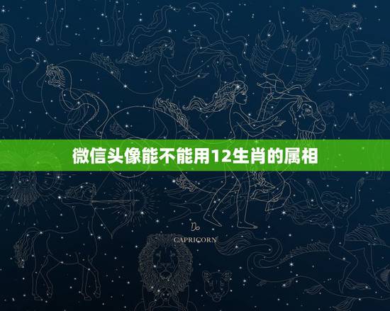 微信头像能不能用12生肖的属相,微信头像可以用动物吗 微信头像能不能用12生肖的属相,微信头像可以用动物吗