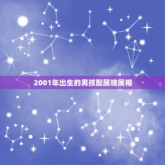 2001年出生的男孩配属啥属相，2001年出生的人是什么命？