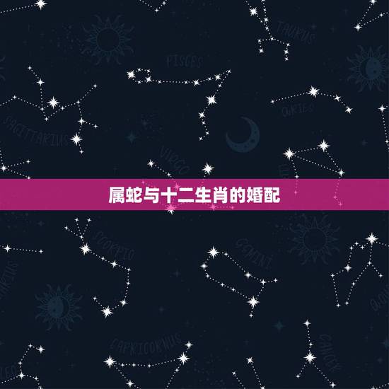 属蛇与十二生肖的婚配,男属蛇的属相婚配表大全 男属蛇与什么属相般配 属蛇与十二生肖的婚配,男属蛇的属相婚配表大全 男属蛇与什么属相般配