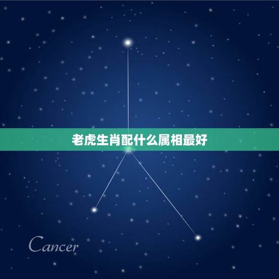 老虎生肖配什么属相最好,老虎生肖,匹配什么生肖最好呢? 老虎生肖配什么属相最好,老虎生肖,匹配什么生肖最好呢?
