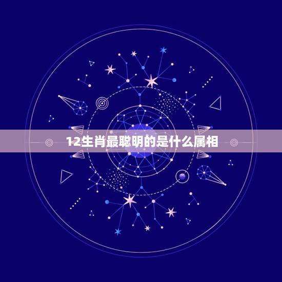 12生肖最聪明的是什么属相，属羊的和什么属相相配最好