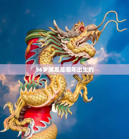 56岁属龙是哪年出生的(解密属龙人的命运轨迹) 56岁属龙是哪年出生的(解密属龙人的命运轨迹)