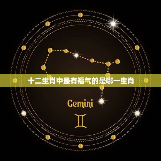 十二生肖中最有福气的是哪一生肖,十二生肖中哪个生肖是最富有的 十二生肖中最有福气的是哪一生肖,十二生肖中哪个生肖是最富有的