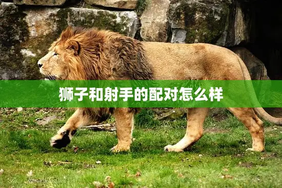 狮子和射手的配对怎么样(星座专家揭秘这对火象组合的爱情奥秘)