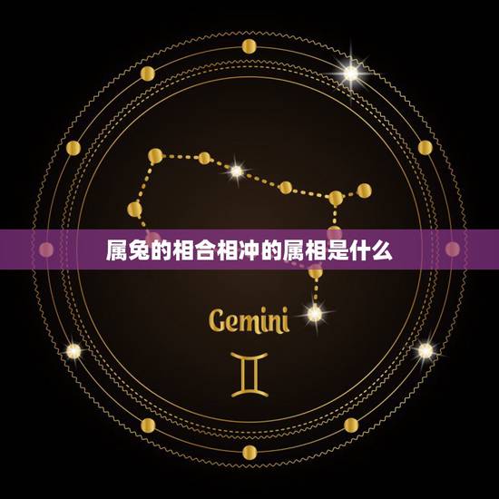 属兔的相合相冲的属相是什么，属兔相合的属相