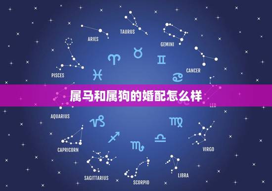 属马和属狗的婚配怎么样，属马女与属狗男婚配合适吗？