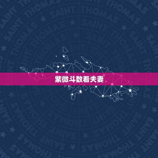 紫微斗数看夫妻,请大家帮忙看看紫微斗数的夫妻宫,谢谢啦 紫微斗数看夫妻,请大家帮忙看看紫微斗数的夫妻宫,谢谢啦
