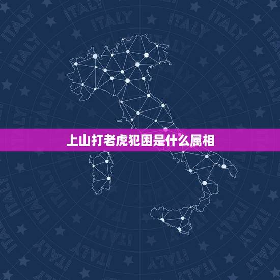 上山打老虎犯困是什么属相，生来爱捉老鼠的猫，和12生肖中哪个属相类似？