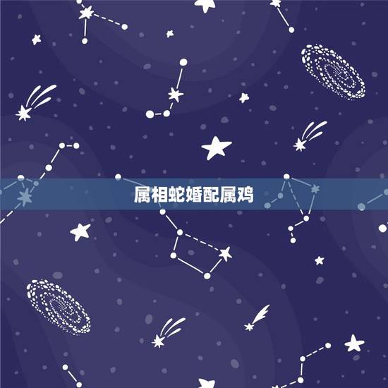 属相蛇婚配属鸡，生肖蛇能不能和生肖属鸡在一起啊