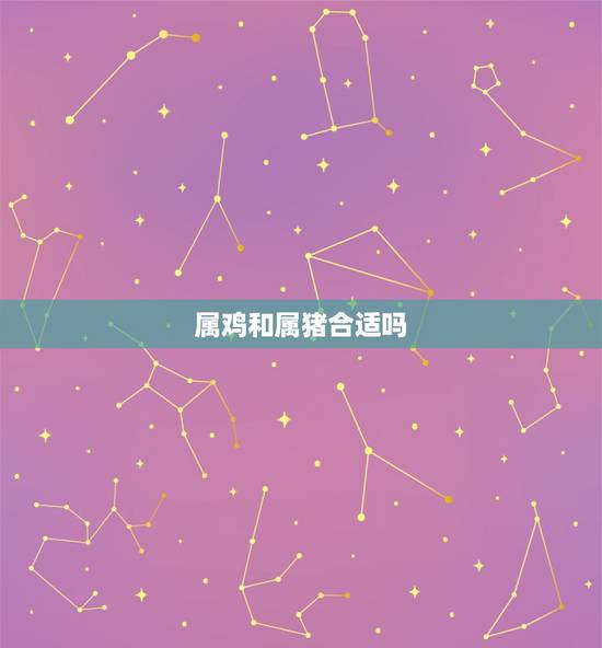 属鸡和属猪合适吗，属鸡的与属猪的结婚好不好