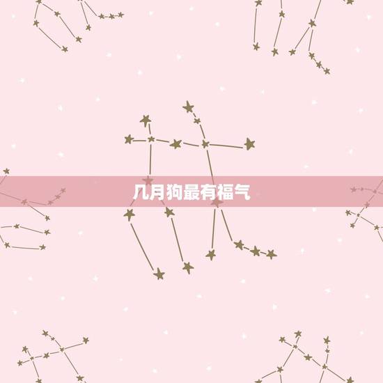 几月狗最有福气 生肖狗命中有两大贵人
