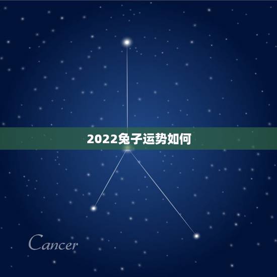 2022兔子运势如何,1963年属兔男2022年每月运程 2022兔子运势如何,1963年属兔男2022年每月运程