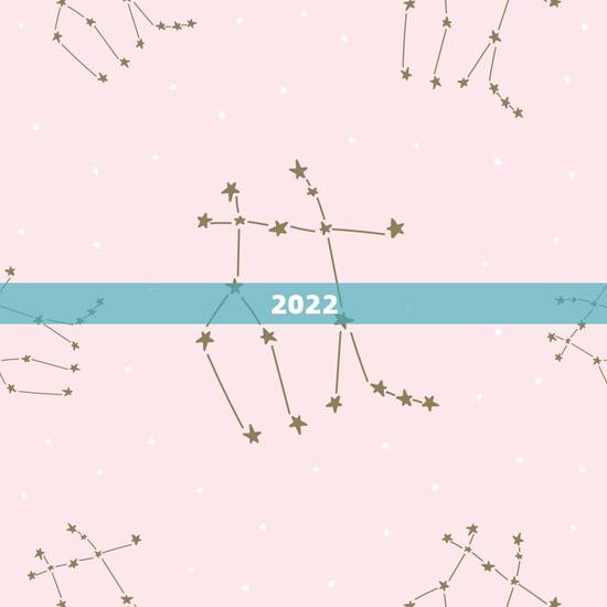 2022 年运势如何，2022 李居明十二生肖详解