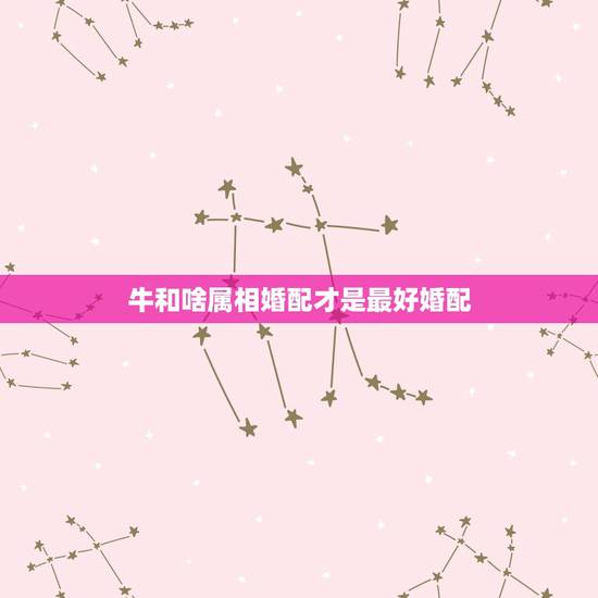 牛和啥属相婚配才是最好婚配,属牛的和什么属相最配 属牛的属相婚配表 牛和啥属相婚配才是最好婚配,属牛的和什么属相最配 属牛的属相婚配表