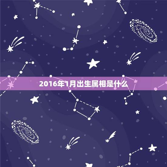 2016年1月出生属相是什么,2016年1月21日出生属相是什么 2016年1月出生属相是什么,2016年1月21日出生属相是什么