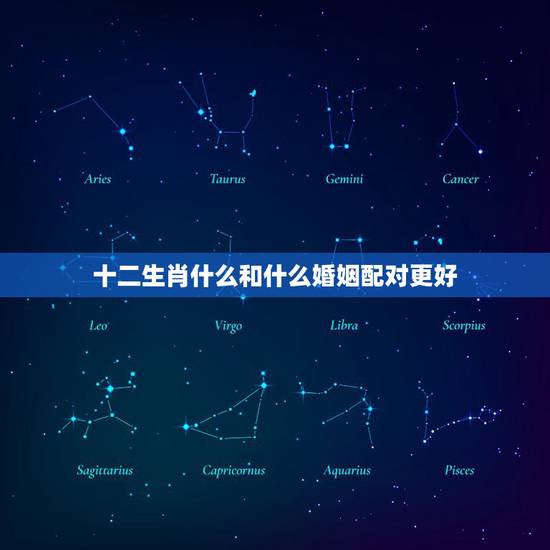十二生肖什么和什么婚姻配对更好,十二生肖婚姻配对表相合相克 十二生肖什么和什么婚姻配对更好,十二生肖婚姻配对表相合相克