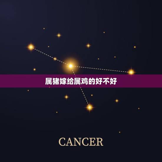 属猪嫁给属鸡的好不好,属兔和属蛇的婚配好不好 属猪嫁给属鸡的好不好,属兔和属蛇的婚配好不好