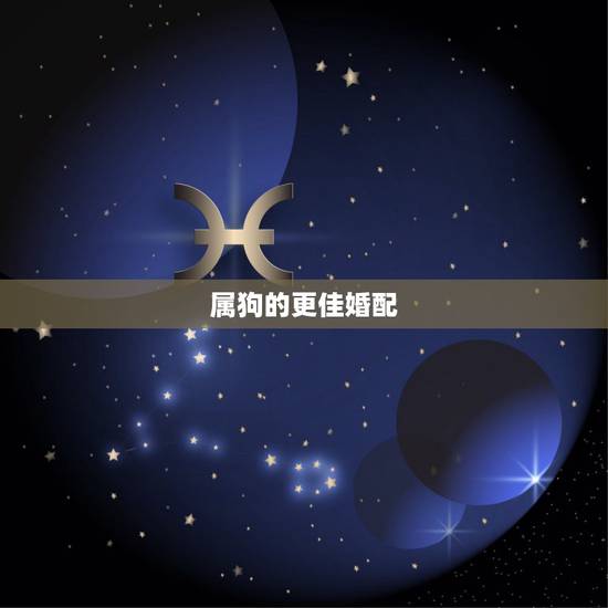 属狗的更佳婚配，五八年属狗更佳婚配