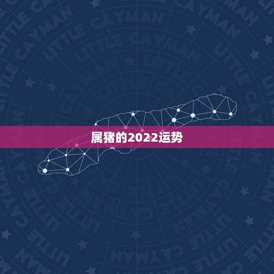 属猪的2022运势，属猪人2021年运势运程每月运程