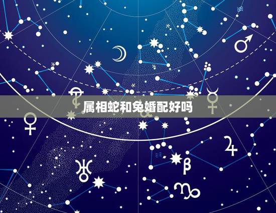 属相蛇和兔婚配好吗，属蛇男和属兔女配吗