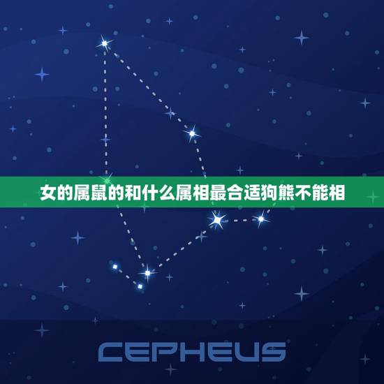女的属鼠的和什么属相最合适狗熊不能相，女属鼠配什么属相最合适