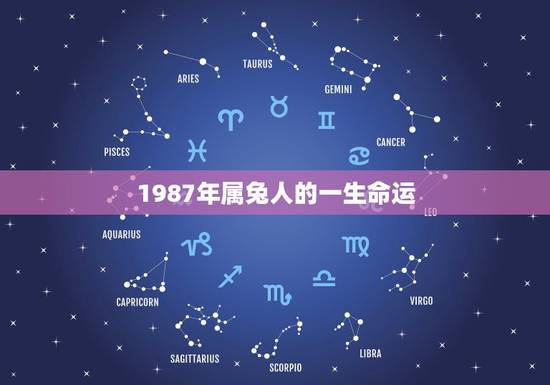 1987年属兔人的一生命运，属兔人1987年农历十月初五，一生的运势