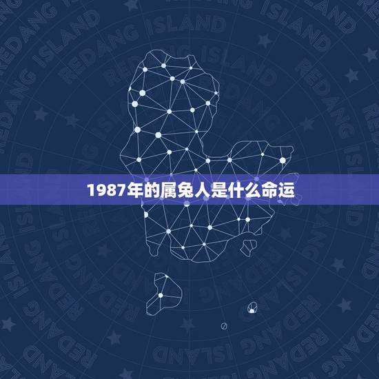 1987年的属兔人是什么命运，1987年属兔的更佳配偶