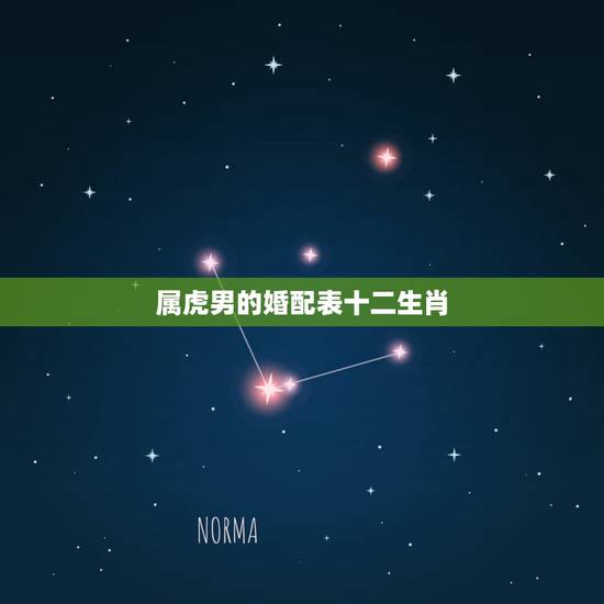 属虎男的婚配表十二生肖,男女双方都属虎可以婚配吗 属虎男的婚配表十二生肖,男女双方都属虎可以婚配吗