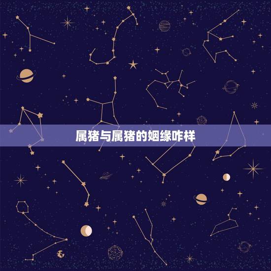 属猪与属猪的姻缘咋样,属猪的和属猪的相克吗 属猪与属猪的姻缘咋样,属猪的和属猪的相克吗