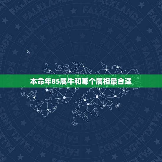 本命年85属牛和哪个属相最合适,85年属牛的和什么属相配最好? 本命年85属牛和哪个属相最合适,85年属牛的和什么属相配最好?