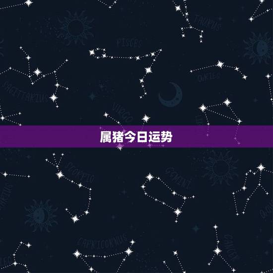 属猪今日运势，属猪的今年运气怎样