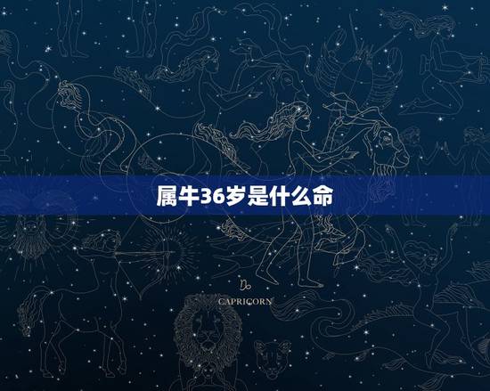 属牛36岁是什么命，85属牛的36岁后的运气