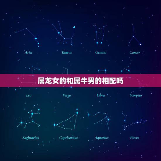属龙女的和属牛男的相配吗,龙女跟牛男婚姻适合吗 属龙女的和属牛男的相配吗,龙女跟牛男婚姻适合吗