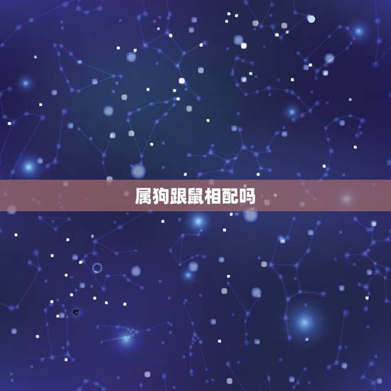 属狗跟鼠相配吗,属鼠和属狗的合不合 属狗跟鼠相配吗,属鼠和属狗的合不合