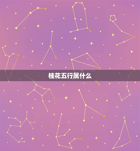 桂花五行属什么，哪种植物在室内最好养