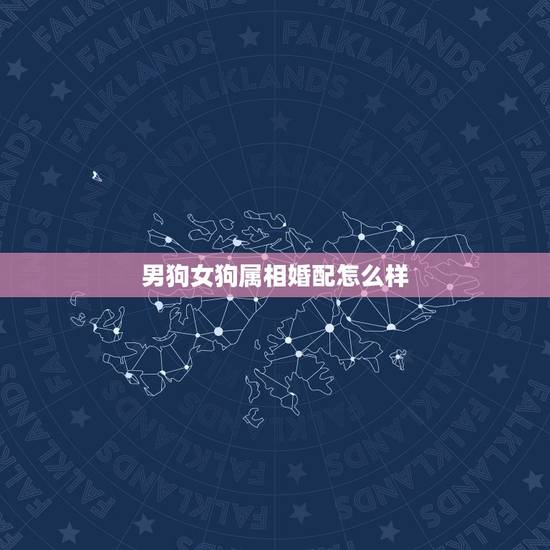 男狗女狗属相婚配怎么样，男属狗女属牛婚配好吗能过好一辈子吗？