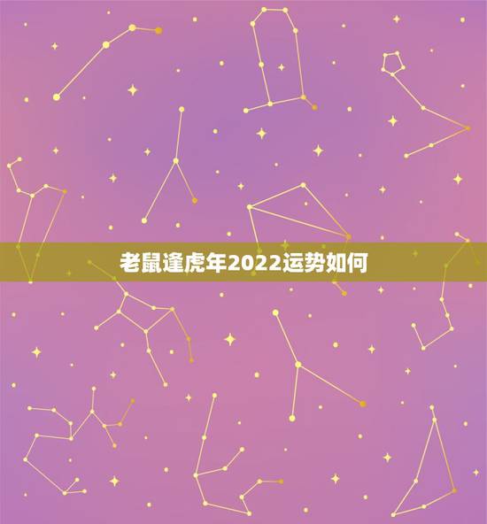 老鼠逢虎年2022运势如何，属鼠的2022 年运势如何