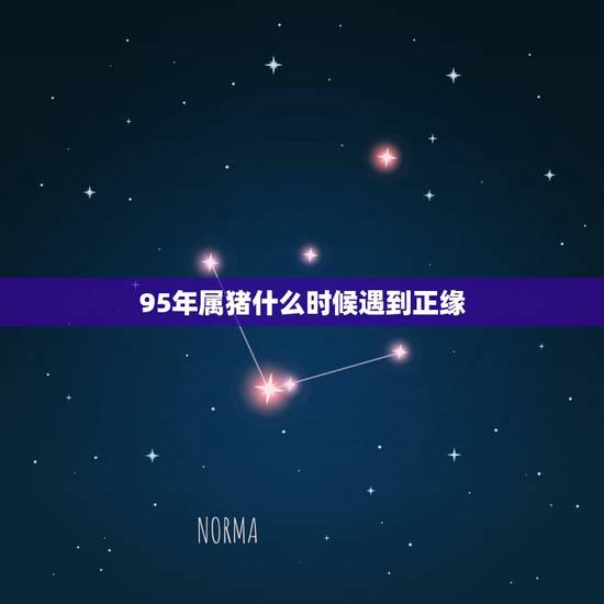 95年属猪什么时候遇到正缘，1995年属猪的人多少岁会遇到另一半