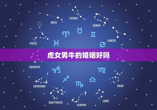 虎女男牛的婚姻好吗,男牛女虎结婚的幸福吗 虎女男牛的婚姻好吗,男牛女虎结婚的幸福吗