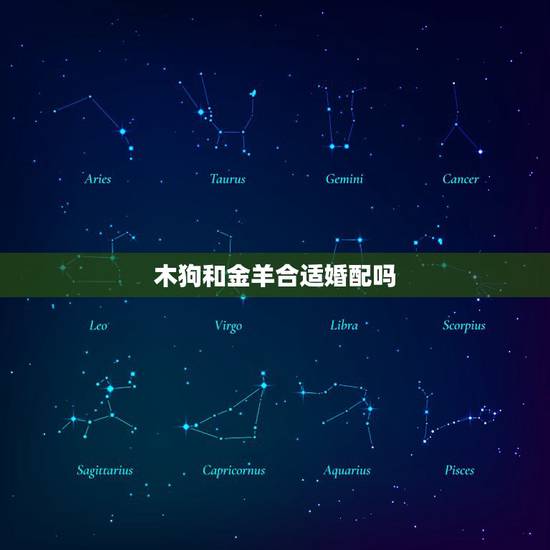 木狗和金羊合适婚配吗，金羊土命和木狗土命婚配