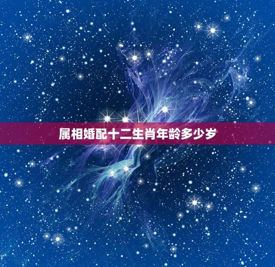 属相婚配十二生肖年龄多少岁，29岁属相婚配