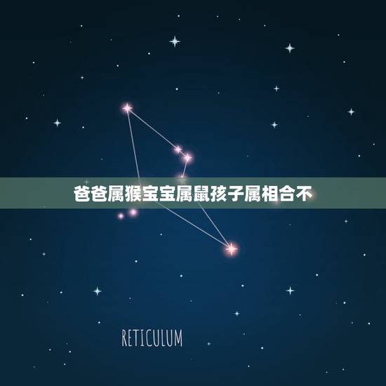 爸爸属猴宝宝属鼠孩子属相合不,猴爸和什么属相的孩子相配 爸爸属猴宝宝属鼠孩子属相合不,猴爸和什么属相的孩子相配