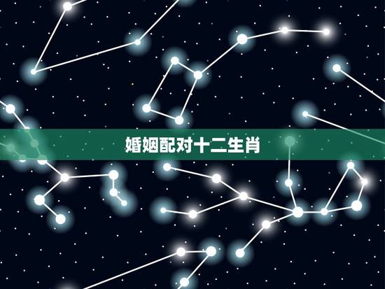 婚姻配对十二生肖,属相配对大全 婚姻配对十二生肖,属相配对大全
