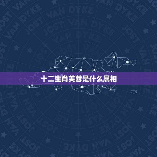 十二生肖芙蓉是什么属相，出水芙蓉是指什么生肖