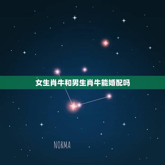 女生肖牛和男生肖牛能婚配吗，虎生肖女和牛生肖男相配吗？